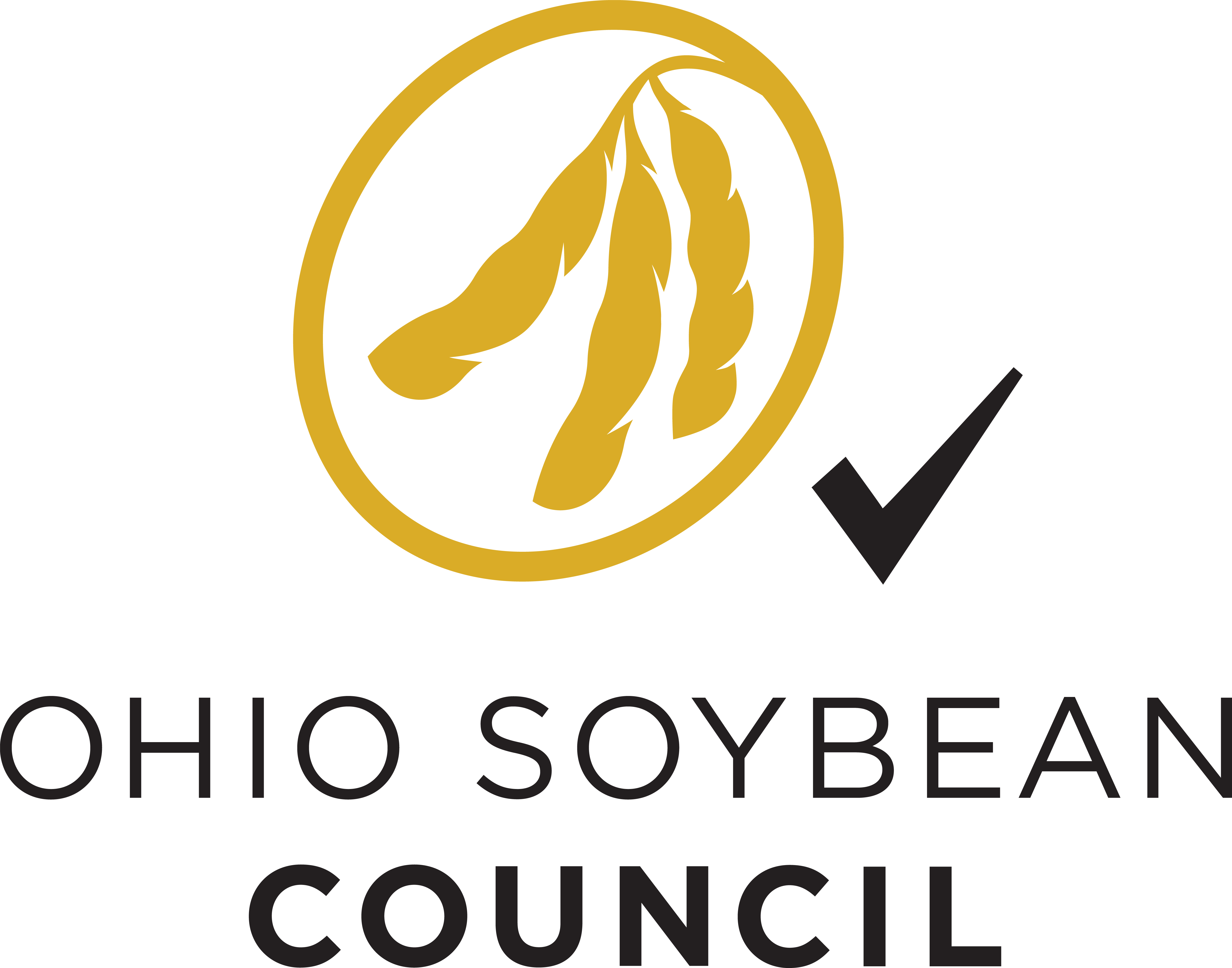 OHSOY Council Logo_Stacked_CMYK